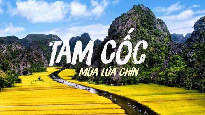 Tam Coc tours